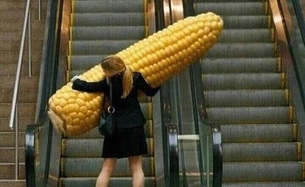 11. Эээээ... Шта? Вы видели когда-нибудь такое?