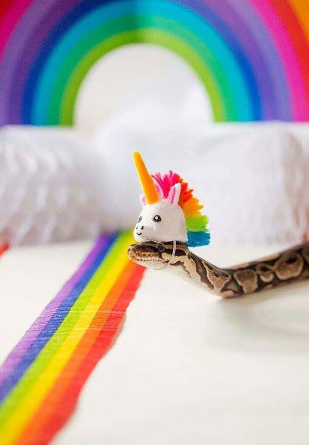 27. 🌈