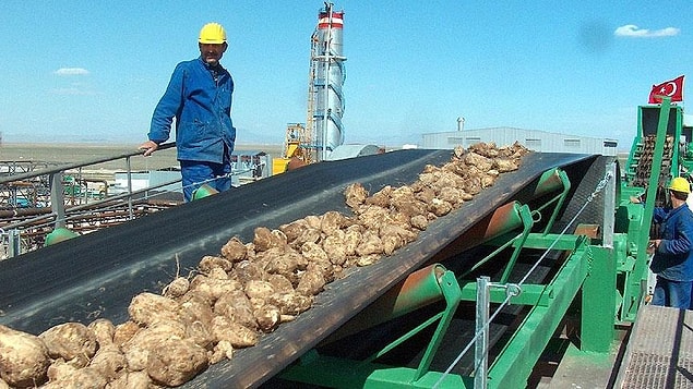 14 fabrikada 4 bin 410 kişi, ekim alanlarında 47 bin 758 çiftçi çalışıyor