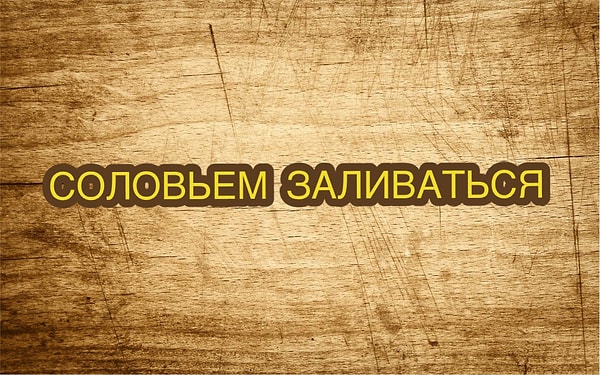 5. Кто знает значение этого древнерусского выражения?