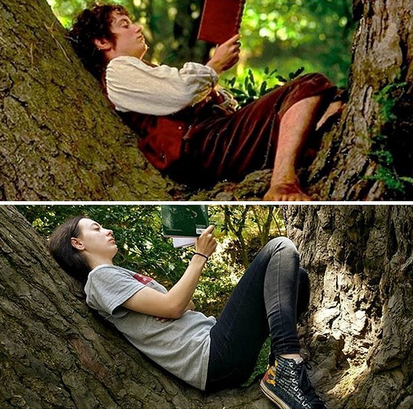 Дерево, на котором нам с Фродо хорошо читается ;)