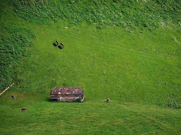 11. А этот снимок напоминает кадры из фильма «Начало» с Леонардо Ди Каприо :)