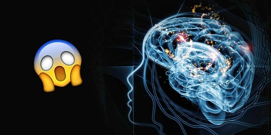 Вы удивитесь, осознав, как сильно ошибались насчет этих 10 психологических фактов