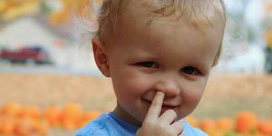 Тест на доверчивость: легко ли вас обмануть