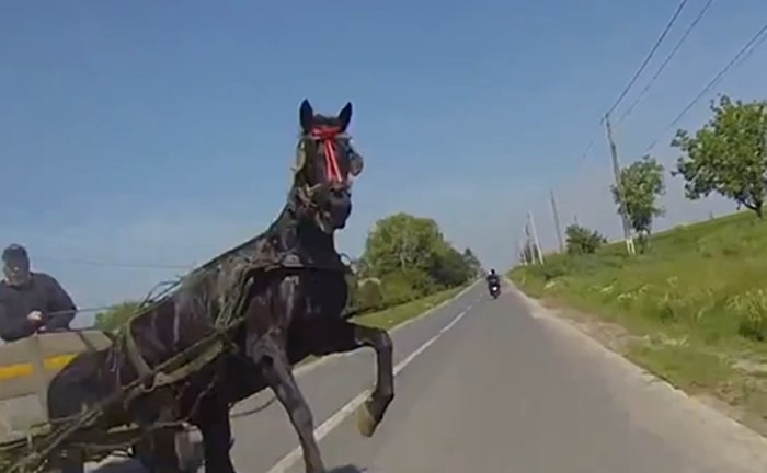 Korkunç Sonla Bitmesi Muhtemel Kazalardan Son Anda Kurtulan 10 Kişi