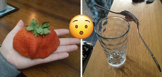 12 удивительных вещей, поверить в которые было бы невозможно, если бы не их фото