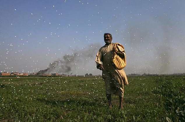 13. Pakistanlı bu adam da, merasında ot bitsin diye havaya böcek ilacı saçıyor ve ortaya bu görüntü çıkıyor.