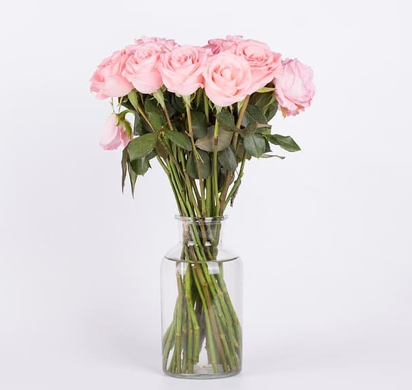 1. Виагра заставляет срезанные цветы стоять вертикально.