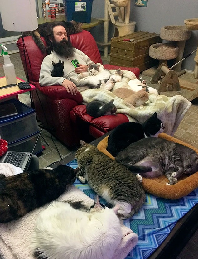 22. Kedi kurtarma ekibinde çalışmak bir fotoğrafla anlatılsaydı...