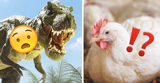 Вы немедленно начнете гуглить этот 21 факт, потому что решите, что мы вам врем!