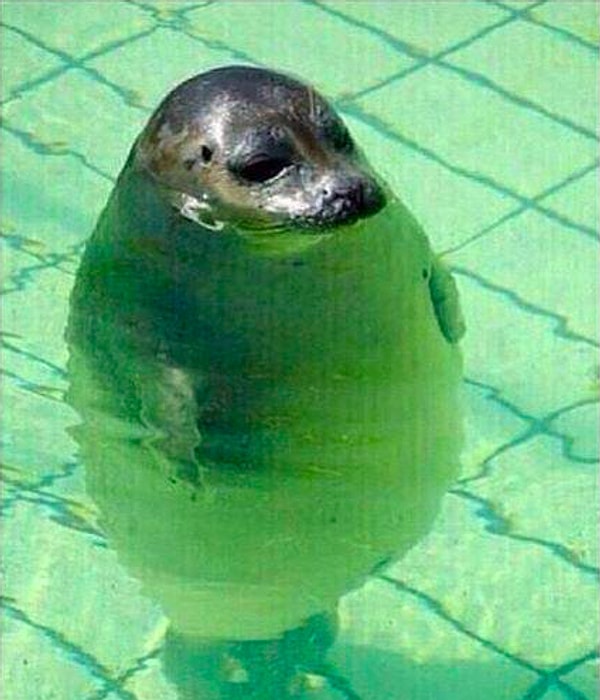 19. А это вы в бассейне глубиной 1,5 м 🤷♀️