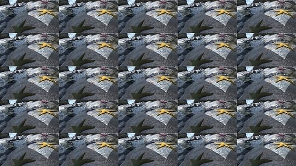 6. Эти картинки не наклонены влево...