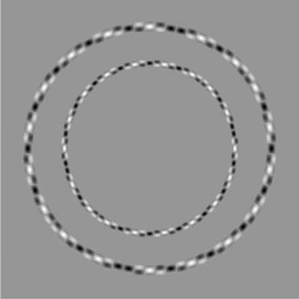 9. А эти 2 круга идеально ровные!