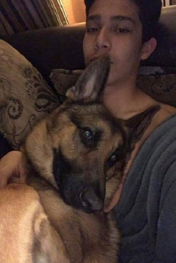 2. Хавьер Меркадо услышал шум и, выглянув в окно, увидел, как к дому подъехала незнакомая машина. Хавьер был совсем один, не считая Рекса.