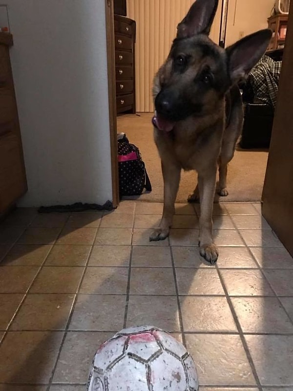 3. Сразу после этого Хавьер набрал 911 и забрался в шкаф.