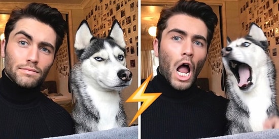 «Одно лицо!» - воскликните вы, увидев 23 уморительных снимка этих сладких парочек