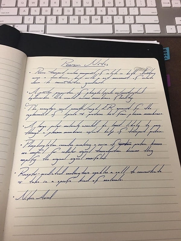 5. Провосходный каллиграфический почерк!