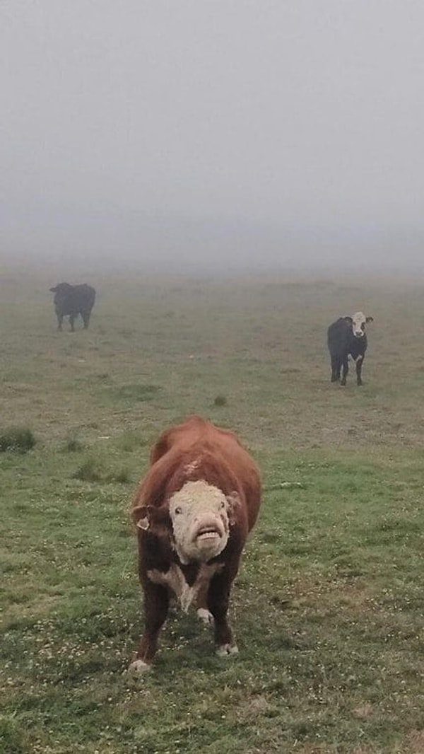 14. А, все. Уже перехотелось!