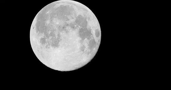 5. Neil Armstrong'un Apollo görevinden sonra Ay'da dört poşet kaka kaldı.