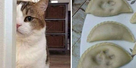 Никакого логического объяснения! 28 абсурдных фоток, над которыми вы будете просто смеяться