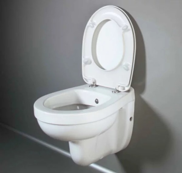 2. То, с чем женщины часто сталкиваются, когда входят в туалет.