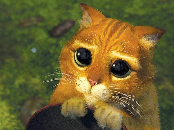 6. На улице к вам подошла приличная на вид женщина и попросила ваш телефон, дабы кому-то срочно позвонить. Ваши действия?