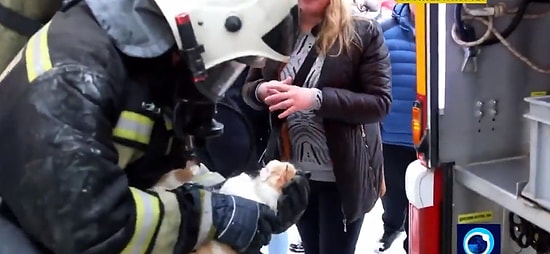 Çıkan Yangında Kalbi Duran Kediyi Kalp Masajıyla Hayata Döndüren İtfaiye Ekibi