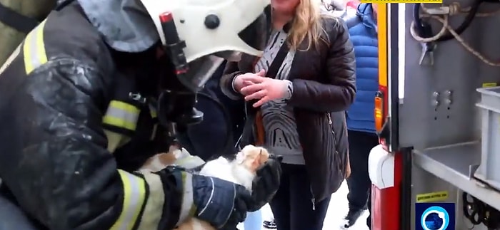 Çıkan Yangında Kalbi Duran Kediyi Kalp Masajıyla Hayata Döndüren İtfaiye Ekibi