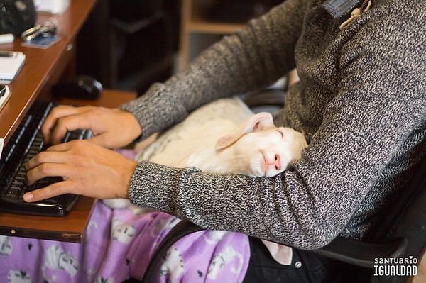 4. А вот так они работают