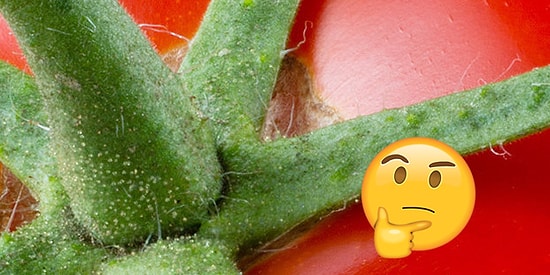 С этим тестом на внимательность справится даже ребенок. Что насчет вас?