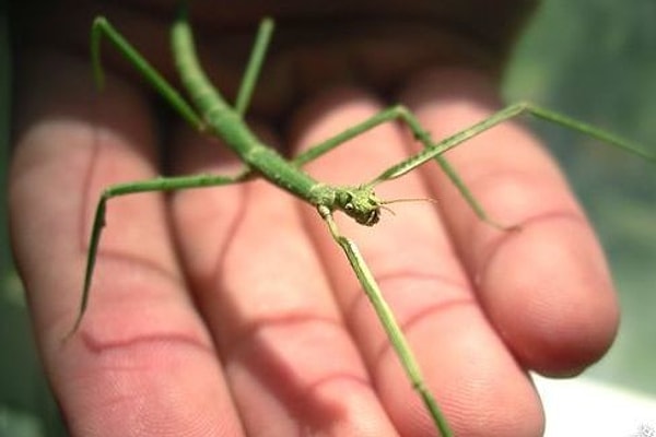 3. Кто это тут у нас?