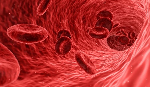 Вторая группа крови!