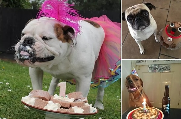 6. Вы только посмотрите, сколько вкусностей получили эти избалованные ребята!