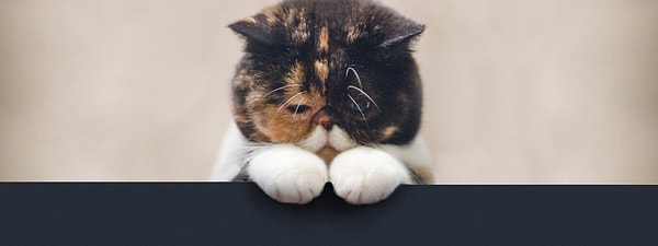 Увы! Вам не удалось набрать достаточно правильных ответов!