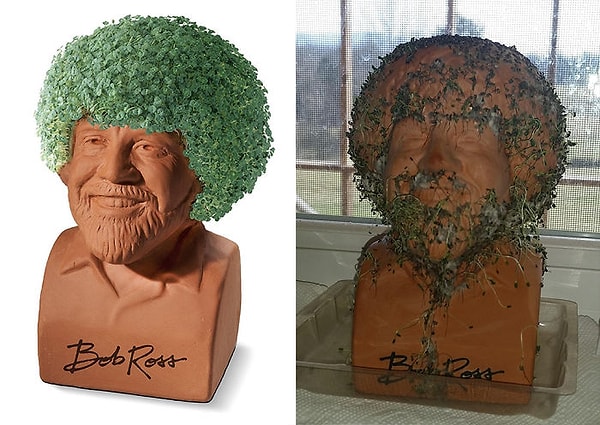 23. В надежде, что получится Боб Росс