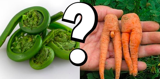 Только веганы могут пройти этот непростой тест на 5/5 ! А вам слабо?