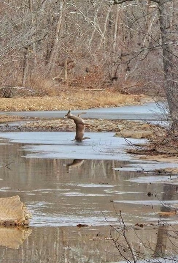 7. За секунду до шедеврального сальто назад