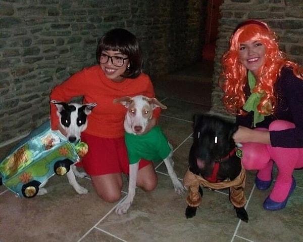 15. Bu grup kostümleri insanlardan çok köpekler için yapılmış!