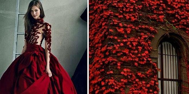 Rus Sanatçının Büyüleyici Manzaraları Göz Alıcı Elbiselerle Bir Araya Getirdiği Proje: 'Moda & Doğa'