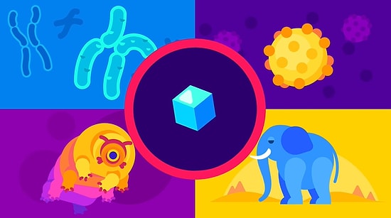 Sicim Teorisi, Fizikteki Tüm Soruların Nihai Çözümü Müdür?