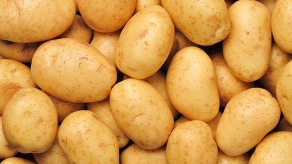 45. Patates hangi bitki ailesindendir?