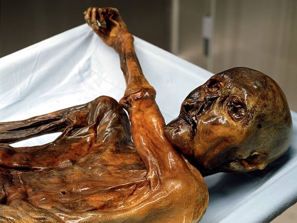 7. Ледяной человек Эци