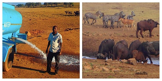 29 снимков из нашей жизни, которые заставят вас искренне улыбнуться и даже немного прослезиться