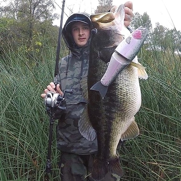 13. Нести лосось при подозрительных обстоятельствах в Англии