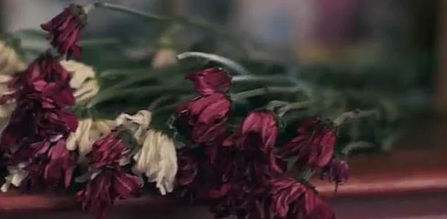 9. Bu solmuş çiçekler sana neyi düşündürüyor?