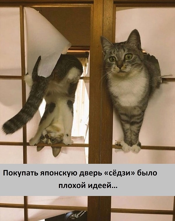 8. Их не удержать...