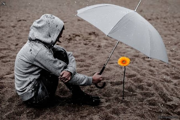 Ваша скрытая правда состоит в том, что вы обладаете даром сострадания!