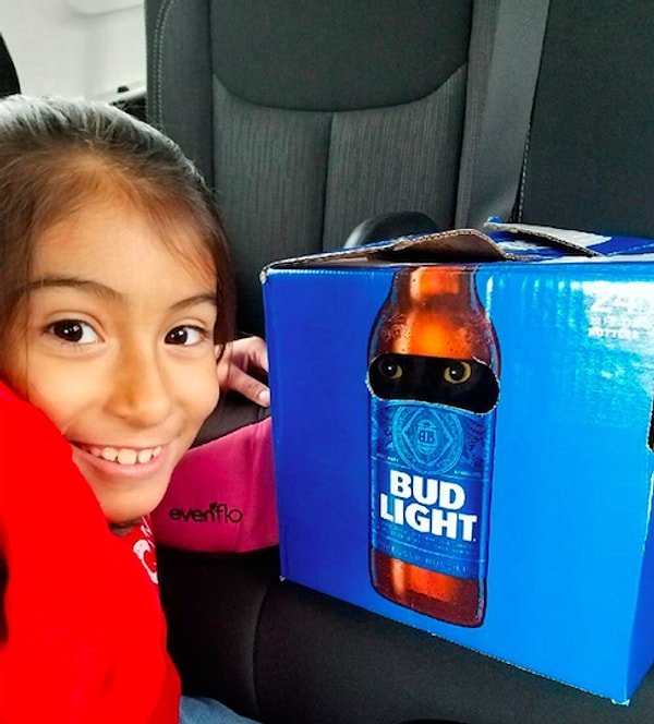 8. "У моей тёти нету специального ящика для переноски животных, поэтому она импровизировала"