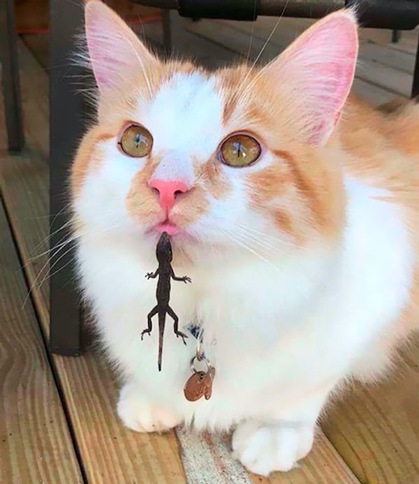 9. "Мам, мой друг потерялся…"