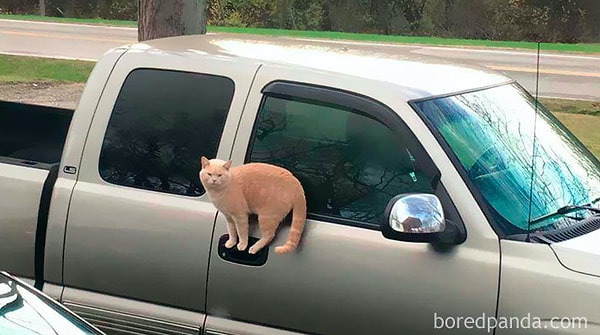 10. "Когда земля - это лава"